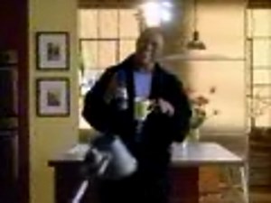 International Delight Commercial w/ Wayne Brady, 2004 (?)