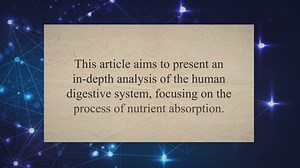 Human digestive system and nutrient absorption
