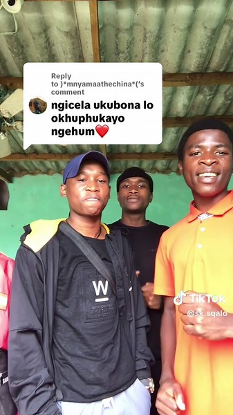 Exploring the Significance of Sqalo in Culture