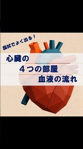 心臓の部屋と血液の流れ