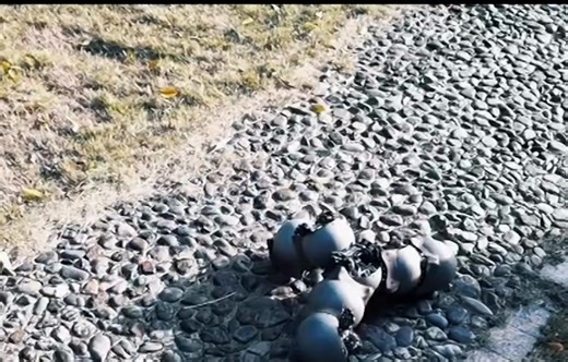 62K views · 828 reactions | Snail-inspired robotic swarm flexible yet...