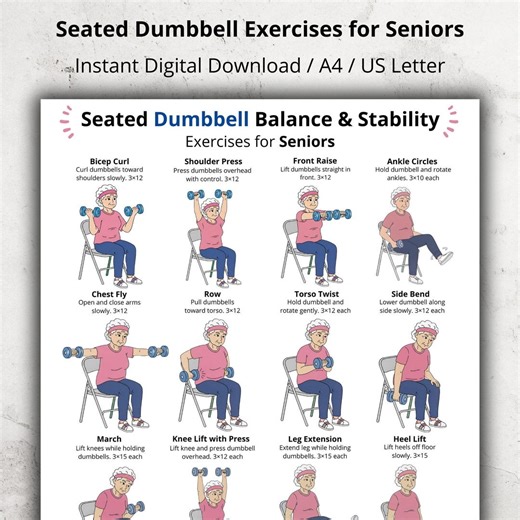 Seated Dumbbell Exercises for Seniors, Chair Exercise Chart Printable, Balance & Stability Poster, Older Adults Seated Dumbbell Workout PDF