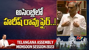 1.6K views · 23 reactions | Minister Harish Rao Fires on Congress in Assembly #HarishRao #BRS #CMKCR #Telangana #assemblysession2023 #Congress #NTVTelugu #NTVNews | Ntv Telugu | Facebook