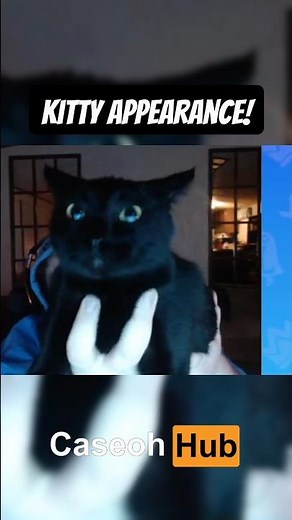 CaseOh Kitty!