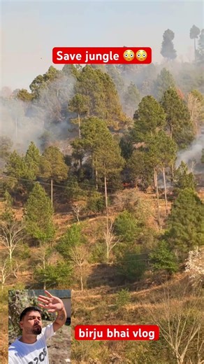 Save jungle please 👏🏼!! Pray for animal 🦒!!#jungle #pahadi #youtube #love #uttrakandi#fire #love