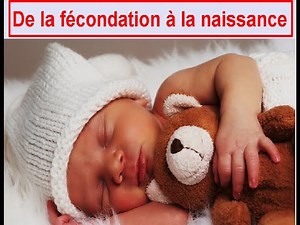 SVT 4ème La Reproduction : La Fécondation