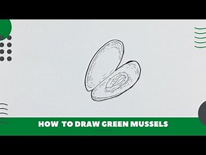 How to Draw Green Mussels Easy