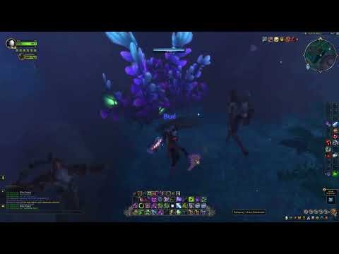 Reliquary's Lost Paintbrush Location, WoW Midnight Treasures of Harandar