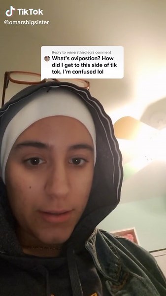 Understanding 'Ovi' in Omegaverse - Explained