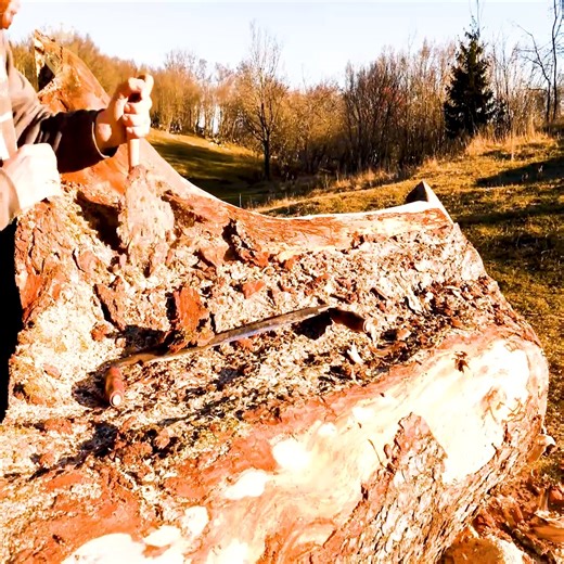 Making a Huge Tree Stump Table For the Log Cabin Off Grid LOG CABIN Build (Part 1) | Adventures Bushcraft