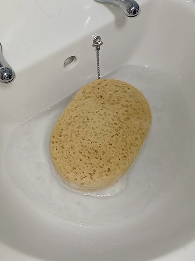 squeaky rinse. Unpopular opinion.. I hate squeaks 🤮 #asmr #sponge #spongesqueezing #CleanTok #cleaning