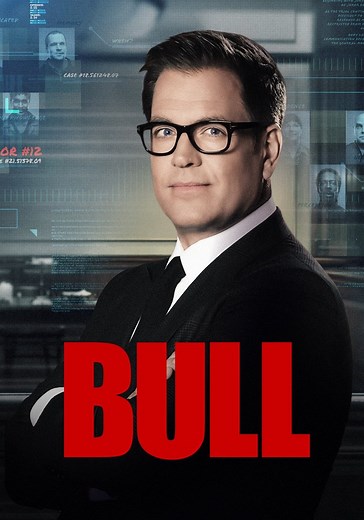 Bull - Ver la serie online completa en español