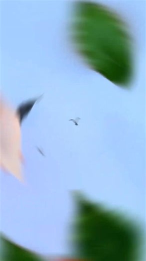 Leaf Tree Art #leaftree #leafart #naturecraft #diy #creative #handmade #recycle #upcycle #treeart #craft | paper craft ideas