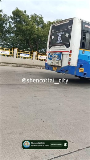 131SFS Blue Bus ( Tirunelveli 🔁 Papanasam )