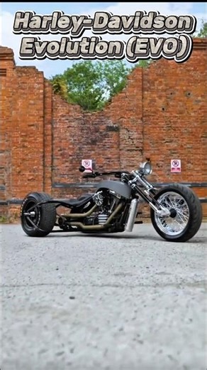 Trike-tastic: The Custom Chopper-Inspired Three-Wheeler