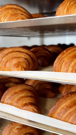 Bongard | 🔥 Polyvalence, puissance et précision 🔥 Maximisez chaque m² de votre fournil avec la gamme SÉRIE 4, des fours à chariot rotatifs compacts,... | Instagram