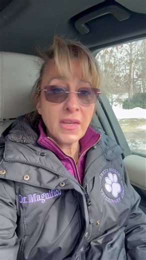 Jarrettsville Vet on Instagram: "There was an immediate and angry response from my colleagues when I posted about the family that found help for their dog who needed an emergency exploratory surgery. The profession accused the provider of substandard care and poor staff compensation among a lot of other things. Their response says a lot about them and a lot about what their allegiance is. It’s time for compassionate care that is accessible to everyone so they can save their family members."