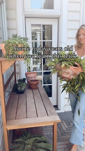 Dana Carpenter | Houseplant care on Instagram: "Do you love the look of aged terracotta?? Over time our terracotta pots develop patina from exposure to salts and minerals in soil and water. Sometimes it’s hard to wait for that to naturally develop…and that’s where this simple plant hack comes in! ✨🪴 Using mod podge, water, a paintbrush and flour—you can create the aged look. Just dilute the mod dodge with water and brush it onto your planter. Add as much flour as you prefer the look of a
