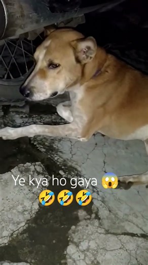 Ye kya ho gaya 😱 || #veryfunnyvideo #ShrreeDidi #shorts