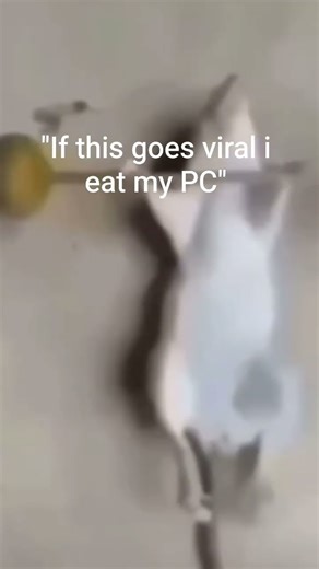 If this goes viral i eat my PC #mrbeast