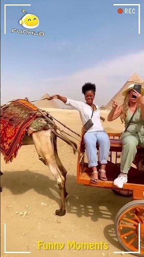 Funny Prank EP 28 #funhub #funny #comedy #prank #viral #funnyvideo #shorts