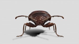 Bed Bug 01 - Buy Royalty Free 3D model by GAMEBR0VIP