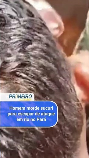 Homem morde sucuri para escapar de ataque no Pará