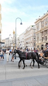 Modern and historical Vienna lives side by side #Vienna #wien #austria #reelsvideoシ | Vienna Uncovered