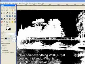 Gimp Background Remove from an image with fine detail