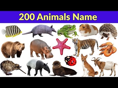 Animals Name | Discover 200 Animals Name From All Around The World With Pictures And Sounds,Part-1