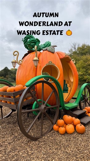An Autumn woodland trail & pumpkin patch event at wasing estate 🌲🍁 AD We had a fun visit to this spot just over the border from north Hampshire, to Wasing estate, a Berkshire estate which regularly hosts seasonal events. This one is perfect for families with young kids and it includes… 🌲🍁🦉A decorated woodland trail through Wasing's stunning autumnal woodland, lots of photos opps and interactive things for the kids 🎃a rustic pumpkin patch with fairytale pumpkin carriage 🍕 Tasty seasonal sn