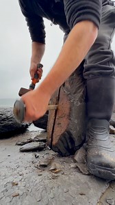 1.5M views · 5.6K reactions | We came across a fresh shale landslide!...