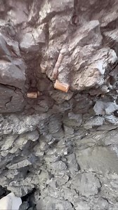 Another day, another crack at history 🪨✨ From ammonites to belemnites, every discovery is a piece of the Jurassic ocean floor 🌊 For ammonite rocks to crack open, please visit our official online store yorkshirefossils.NET (link in bio) or message directly on Instagram @yorkshire.fossils 🦕 For more videos, check our YouTube / TikTok! 🏝 Thanks for supporting our page! 🐊 #natural #nature #fossil #fossils #ancient #animals #art #fblifestyle #ammonite #ammonites #dinosaur #scientist #minerals #p