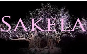 【金坷垃】【日剧无间双龙主题曲】【Sakela】