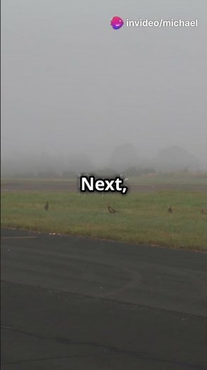 Top 3 Most Unusual Jobs in the World