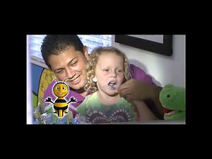 PBS Kids Program Break (2013 WEDU-DT1)