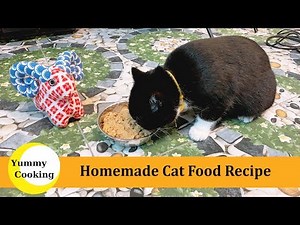 Homemade Cat Food - DIY Cat Food Recipe | YOO MI COOKING