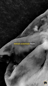 This video explores the fascinating discovery of extraterrestrial life in Earth's stratosphere and the groundbreaking implications it has on our understanding of life’s origins. #extraterrestrial #diatoms #stratosphere #discovery #science #panspermia Read more: https://www.ancient-origins.net/news-science-space-evolution-human-origins/scientists-reveal-extraterrestrial-life-found-earth-s | Ancient Origins