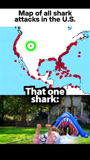Shark moment 🦈 #memes #funnymemes #fypシ