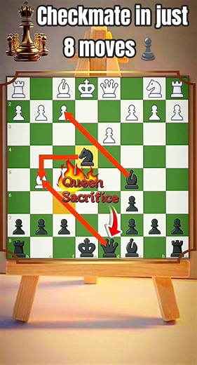 CHECKMATE in Just 8 Moves ♝ Stunning Bishop Checkmate | No Escape ☠️ #chess#shorts#viral #ytshorts