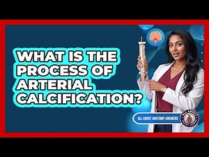 What Is The Process Of Arterial Calcification?