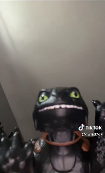 Gwlad on TikTok