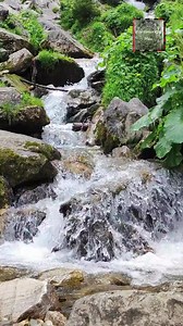 9.1K views · 240 reactions | Cascada Cailor | Maramureșu' Meu | Facebook