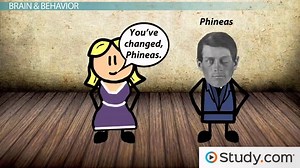 Limitations of Neuropsychological Assessments