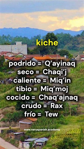 frases en quiche idiomas de guatemala aprender kiche desde cero clases del k'iche' aprender ingles phrases in Quiché languages of Guatemala learn k'iche from scratch k'iche classes learn English www.neryspanish.academy most commonly used words in k'iche how to learn a language Mayan languages www.neryspanish.academy palabras mas usadas en quiche | NerySpanish - Academia de idiomas