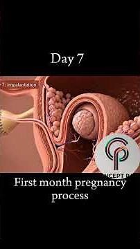 First Day of First Month Pregnancy | Early Signs & Baby Development Explained