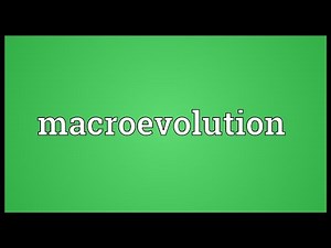 Macroevolution Meaning
