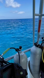 70K views · 98 reactions | Went scuba diving for the first time ever! After the pool session, I genuinely didn’t know if I could do it with the breathing into and out of your mouth solely… but once out on the ocean… the whole breathing thing just came naturally… what an unbelievable, life changing, experience!! #scubadiving #turksandcaicos #diveprovo #breathing | Alyse Schroeder | Facebook