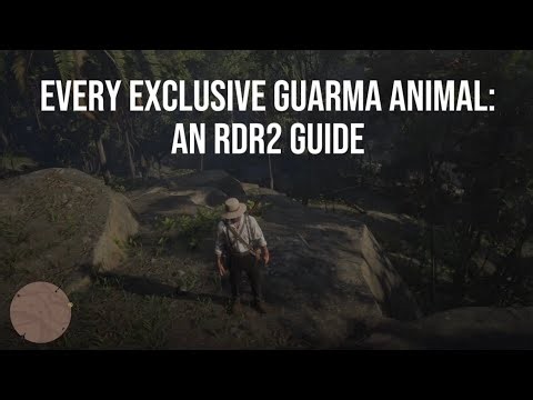Guide to EXCLUSIVE GUARMA ANIMALS in RDR2