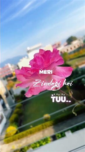 Meri zindagii hai tuuu..❤️‍🩹#viral #explorenow